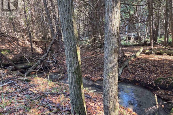 627383 15 Side Road, Mulmur, ON, photo 3