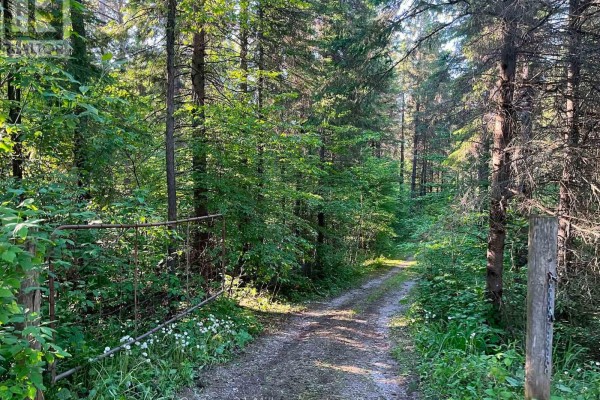 627383 15 Side Road, Mulmur, ON L0N1M0 Photo 5