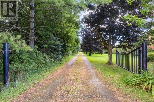 628482 119 Grey Road, Blue Mountains, ON, photo 3