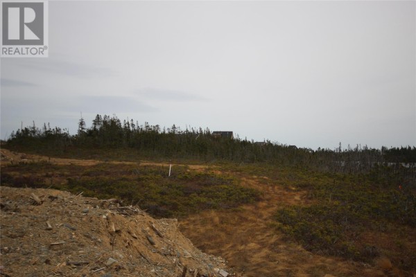 62a Inner Pond North Road, Ocean Pond, NL A0B3K0 Photo 2