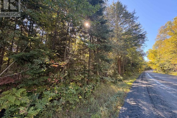 63 Bunny Trail, Mcdougall, ON P2A2W7 Photo 4