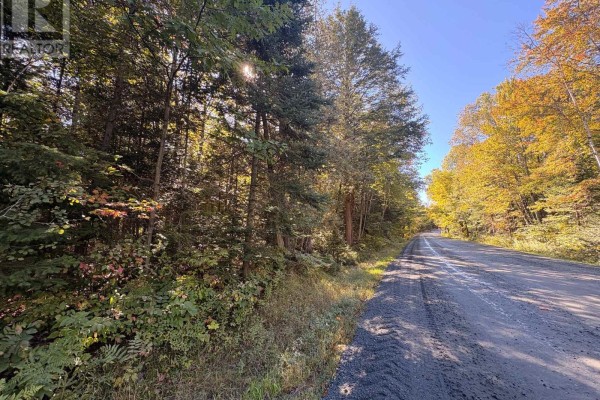 63 Bunny Trail, Mcdougall, ON P2A2W7 Photo 5