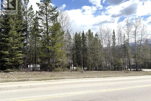 63 Darby Crescent, Elkford, BC V0B1H0 Photo 4
