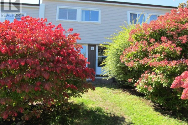 View through bright red and pink bushes towards the entrance of a beige and brown townhouse. - 63 Drumdonald Road, Halifax