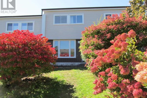 Front of townhouse with windows and siding, framed by vibrant red and pink flowering bushes and green grass. - 63 Drumdonald Road, Halifax