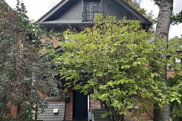 63 Hilton Avenue, Toronto, ON M5R3E5 Photo 3