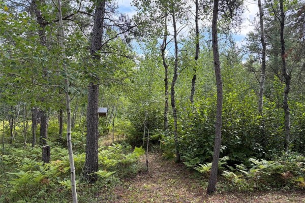63 Mars Drive, Brokenhead Rm, MB, photo 3