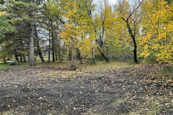 63 Stewart Avenue, Kelwood, MB, photo 2