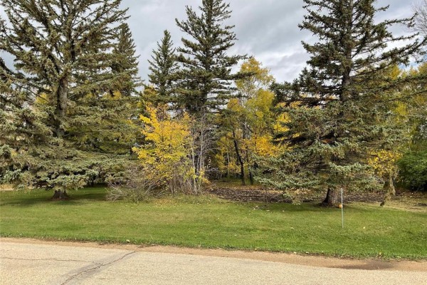 View of the lot from the street, featuring mature trees and grass - 63 Stewart Avenue, Kelwood