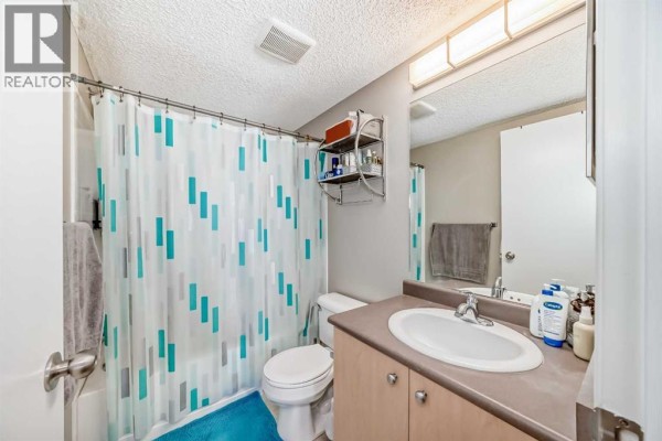 Other - 6310, 304 Mackenzie Way Sw, Airdrie, AB T4B3H6 Photo 4