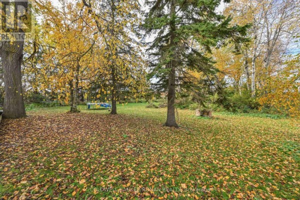 6336 Concession Road 7, Adjala Tosorontio, ON, photo 2