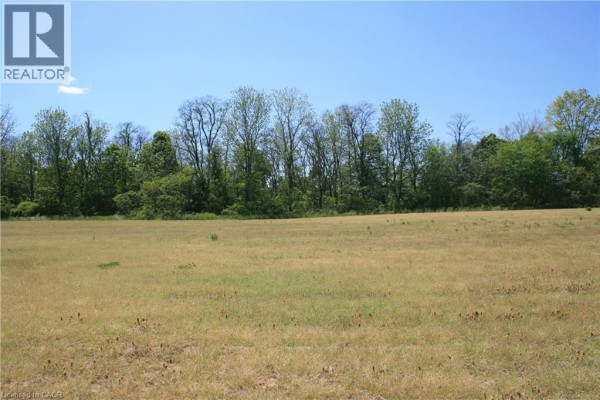 6349a Plank Road, Vienna, ON N0J1Z0 Photo 2