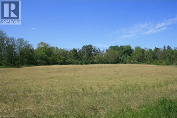6349a Plank Road, Vienna, ON N0J1Z0 Photo 4
