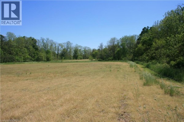 6349a Plank Road, Vienna, ON N0J1Z0 Photo 5