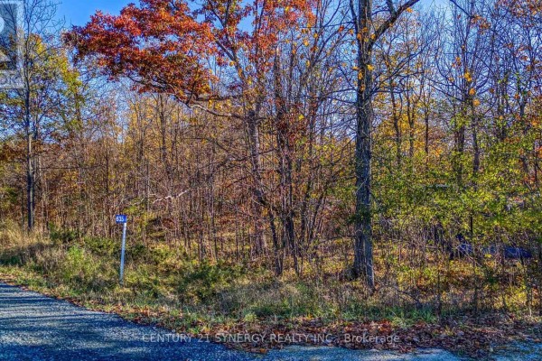 635 Miner's Point Rd, Rr3 Road, Tay Valley, ON K7H3C5 Photo 2