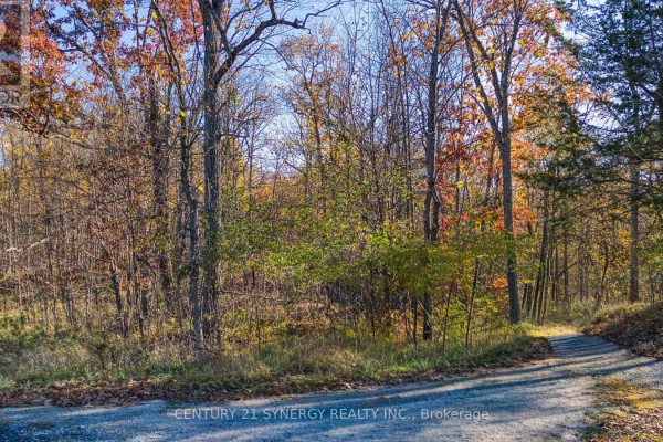 635 Miner's Point Rd, Rr3 Road, Tay Valley, ON K7H3C5 Photo 3