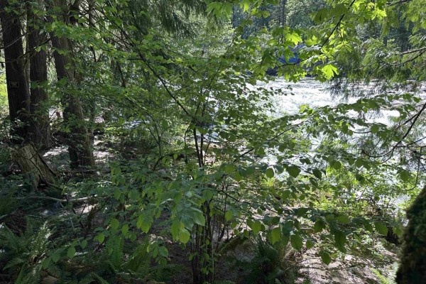63560 Old Yale Road, Hope, Hope, BC V0X1L2 Photo 4