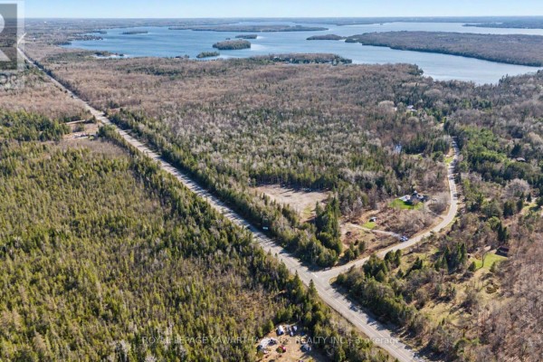 6369 Highway 35, Kawartha Lakes, ON K0M1K0 Photo 2