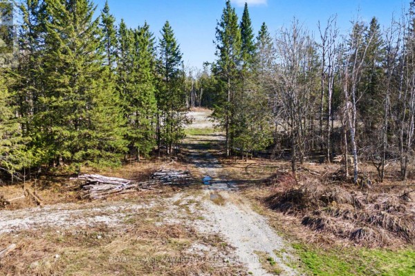 6369 Highway 35, Kawartha Lakes, ON K0M1K0 Photo 3