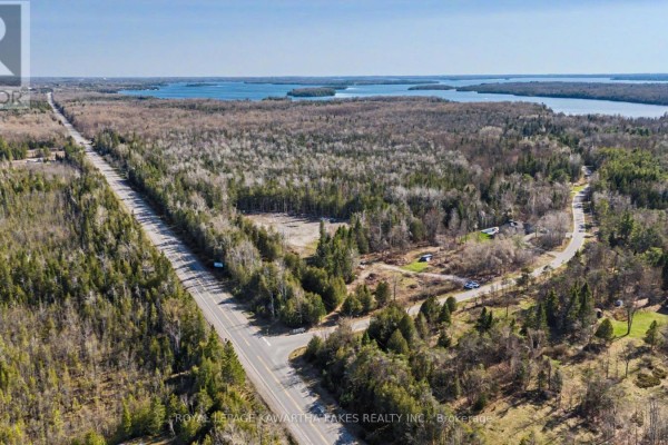6369 Highway 35, Kawartha Lakes, ON K0M1K0 Photo 4