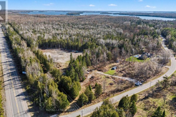 6369 Highway 35, Kawartha Lakes, ON K0M1K0 Photo 5