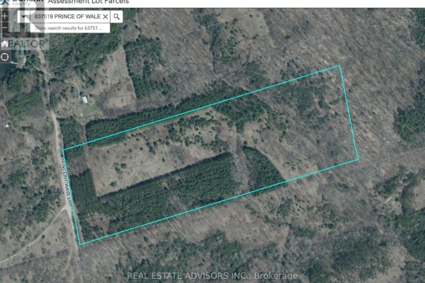 637519 Prince Of Wales Road, Mulmur, ON, photo 3