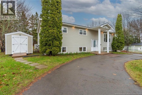 Side view of a light beige split-level house with a paved driveway and a white storage shed. - 638 Guy Avenue, Dieppe