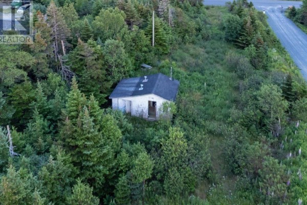 638 Indian Meal Line, Portugal Cove St  Philips, NL, photo 3
