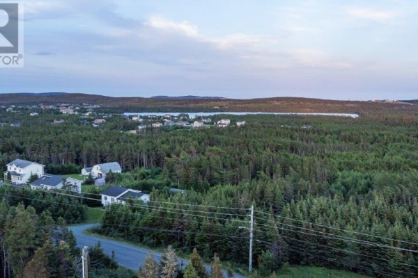 638 Indian Meal Line, Portugal Cove St  Philips, NL A1M3E7 Photo 4