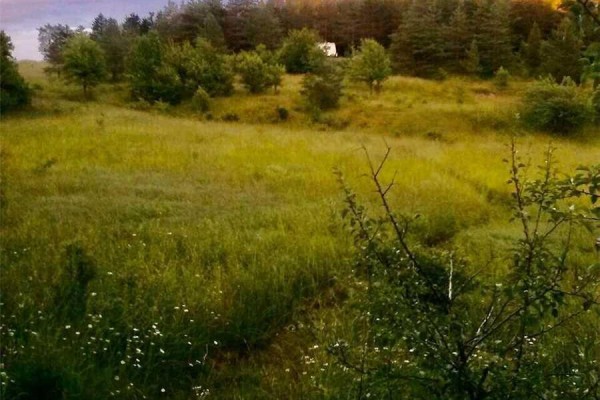 638212 St. Vincent-sydenham Line, Meaford, ON N4K5W4 Photo 5
