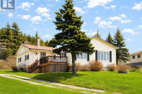 Exterior of a beige bungalow with a wooden deck and a large pine tree in the front yard. - 64 Main Road, Broad Cove  Dildo