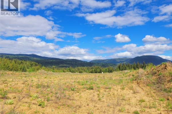 640e Yellowhead Highway, Clearwater, BC V0E1N1 Photo 4