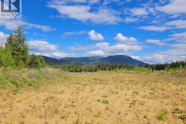 640e Yellowhead Highway, Clearwater, BC V0E1N1 Photo 5