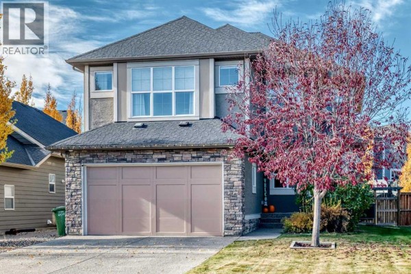 Other - 641 Marina Drive, Chestermere, AB T1X0S3 Photo 3
