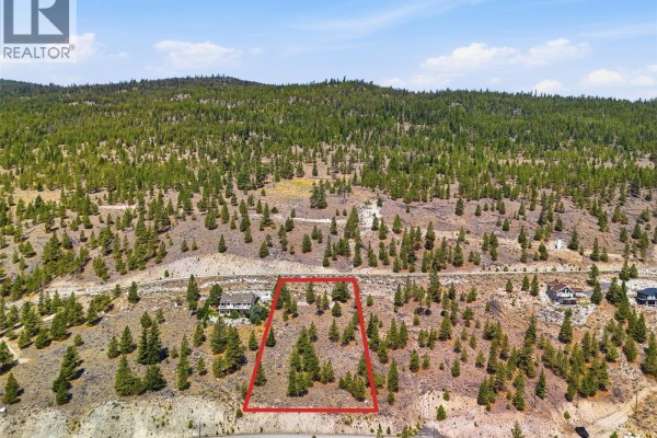 6411 Monck Park Road, Merritt, BC V1K1B8 Photo 4