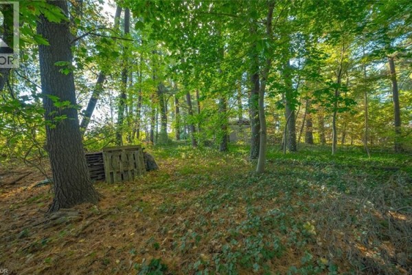 643 Gage Street, Delhi, ON, photo 3