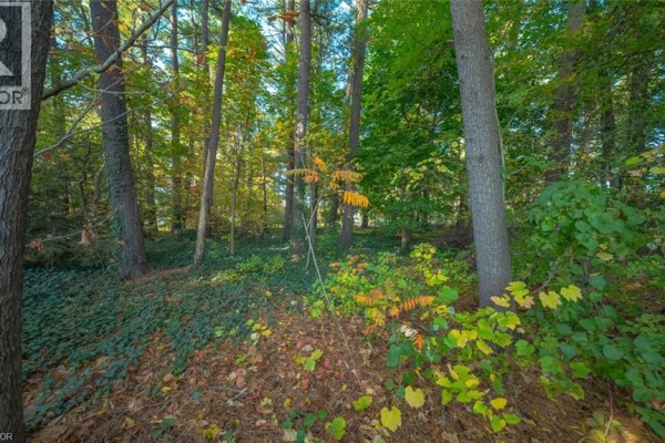 643 Gage Street, Delhi, ON N4B2G7 Photo 4