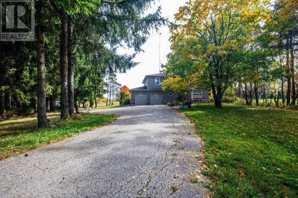 Long asphalt driveway curving towards a house surrounded by mature evergreen and deciduous trees. - 64312 Dufferin County Road 3, East Garafraxa