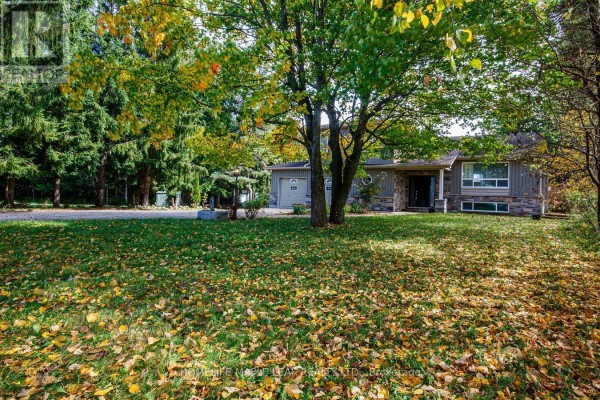 View of a house with a stone base and wood siding, set on a lawn covered in fallen leaves. - 64312 Dufferin County Road 3, East Garafraxa