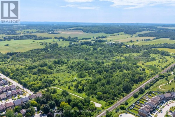 6438 3rd Line, New Tecumseth, ON L0G1W0 Photo 4