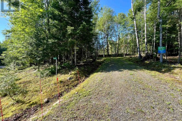 644 Mitchell Road, Madawaska Valley, ON, photo 2