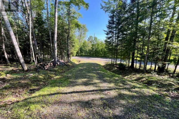 644 Mitchell Road, Madawaska Valley, ON K0J1B0 Photo 4
