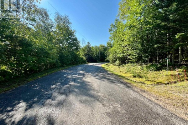 644 Mitchell Road, Madawaska Valley, ON K0J1B0 Photo 5