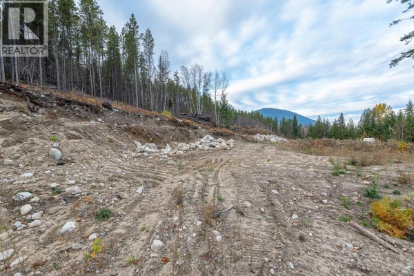 6450 1 Avenue Nw Lot# 2, Salmon Arm, BC V1E3B2 Photo 2