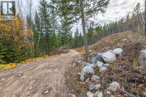 6450 1 Avenue Nw Lot# 2, Salmon Arm, BC V1E3B2 Photo 3