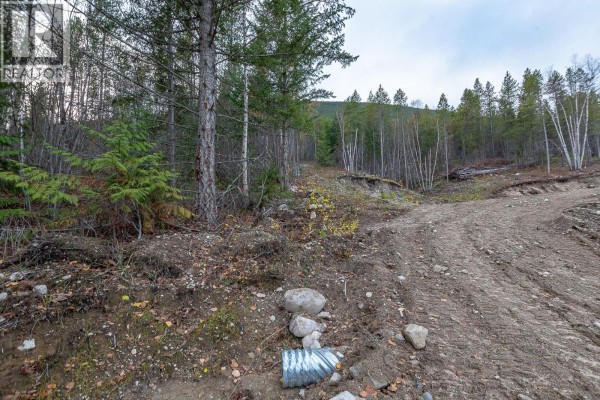 6450 1 Avenue Nw Lot# 2, Salmon Arm, BC V1E3B2 Photo 4