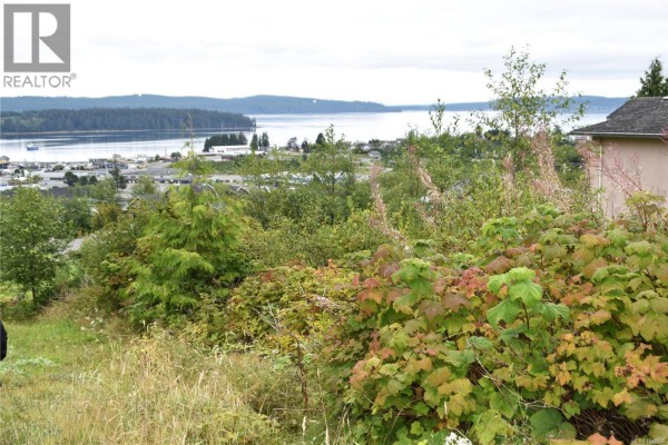 648 Betts Blvd, Port Mcneill, BC V0N2R0 Photo 2