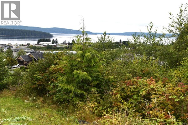 648 Betts Blvd, Port Mcneill, BC V0N2R0 Photo 3