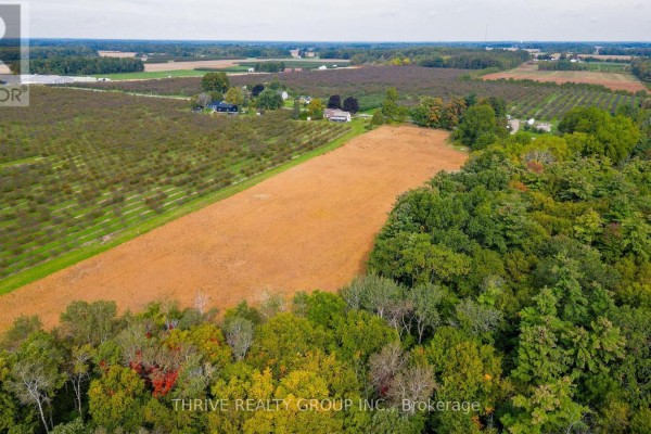 Side view of a yellow house with a green lawn and scattered fallen leaves. - 648 Concession 13 Concession, Norfolk