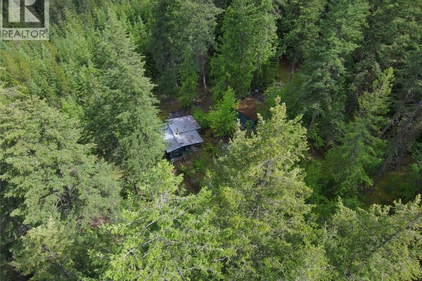 648 Lower Arrow Lake Road, Renata, BC V1N4V8 Photo 5